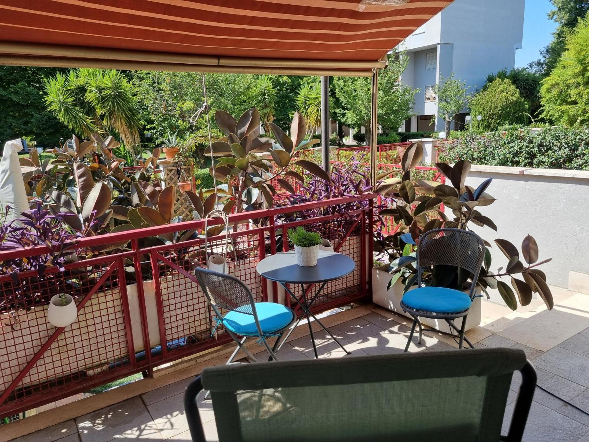Intero Appartamento Con Giardino E Parcheggio روما المظهر الخارجي الصورة